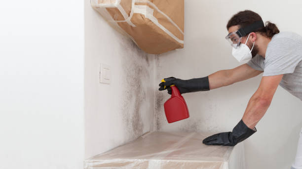 Professional Basement Mold Remediation technician working in North Richland Hills, TX