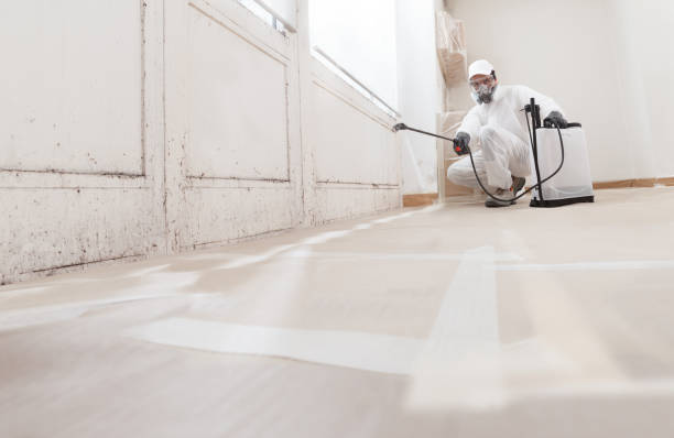 24/7 Emergency Basement Mold Remediation experts in North Richland Hills, TX