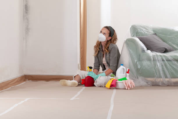 Reliable Basement Mold Remediation contractor in North Richland Hills, TX by 24 Hour Mold Removal
